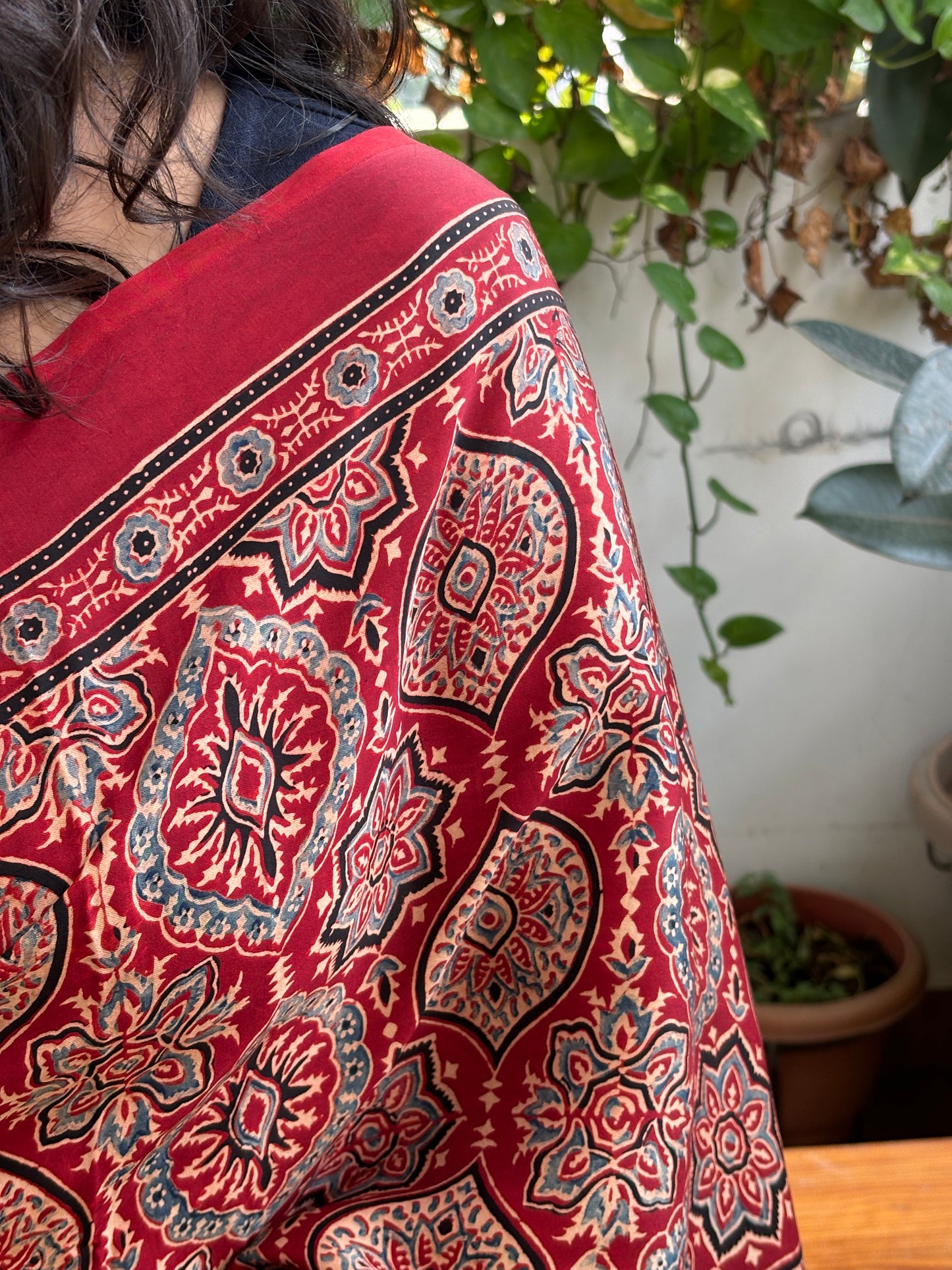 Evergreen Charming Red - Natural Dyed Madder Colour Traditional Motif with Contemporary Anchal Modal Saree