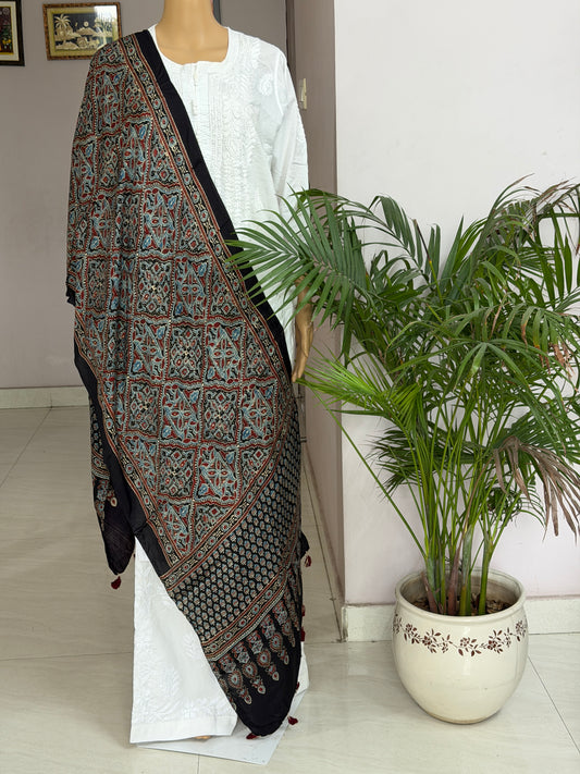 Ajrakh Modal Stole