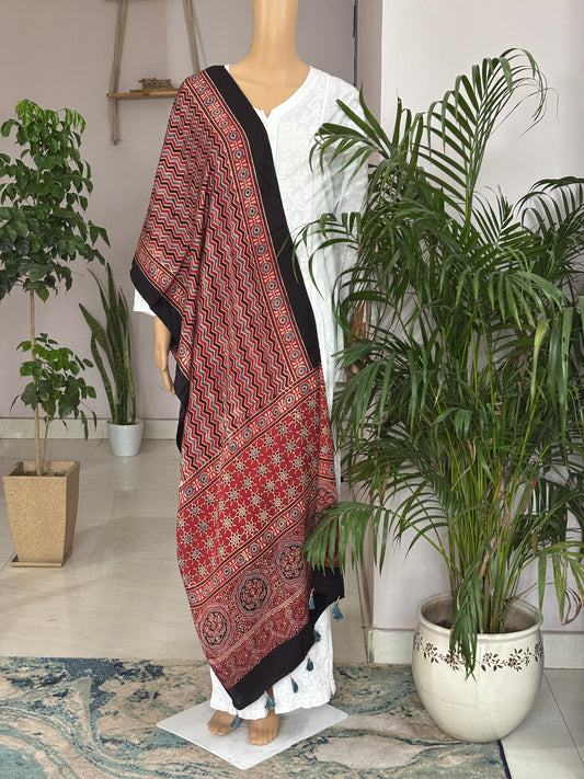 Madder Natural Dyed Ajrakh Contemporary Stole Vertical Zig Zag