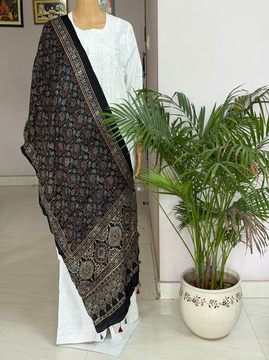 Ajrakh Modal Stole