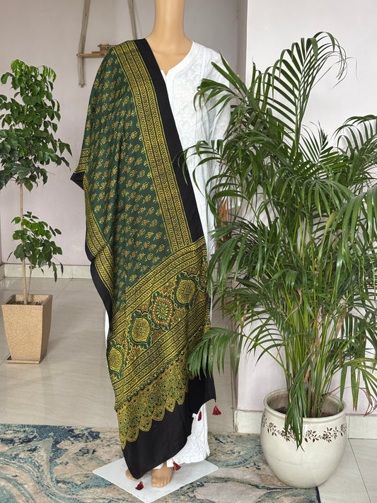 Hara Bhara Natural Dyed  Green Colour Ajrakh Modal Stole With Small Floral