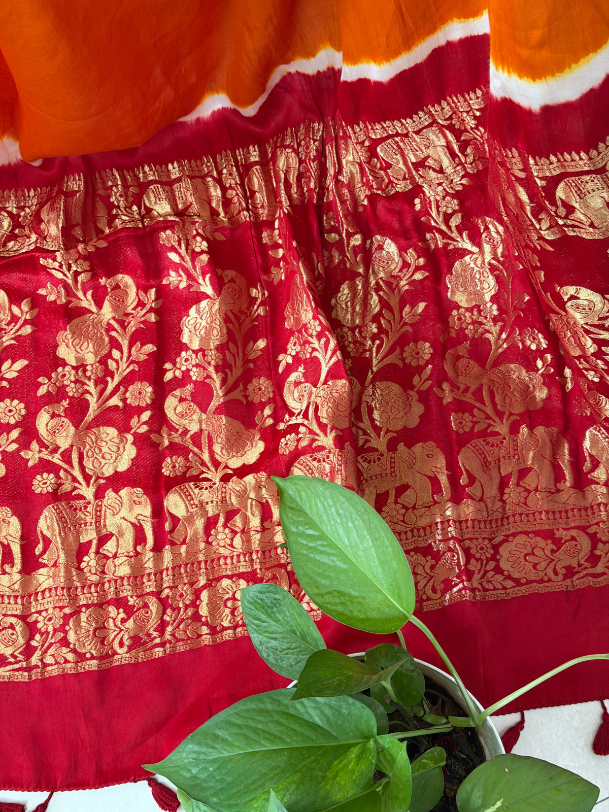 Modal Designer Bandhej Saree With Banarasi Border And Palla