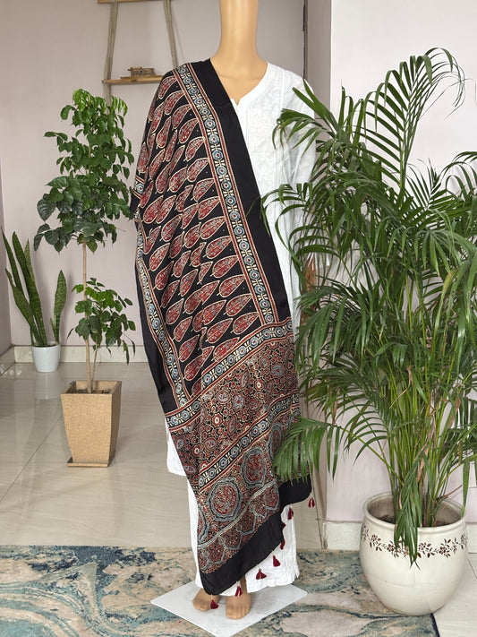 Patta Patta Black Natural Dyed  Ajrakh Modal Stole With Big Leaf Motif