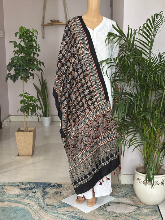 Twinkle Twinkle Little Star Black Ajrakh Geometrical Motif Modal Stole