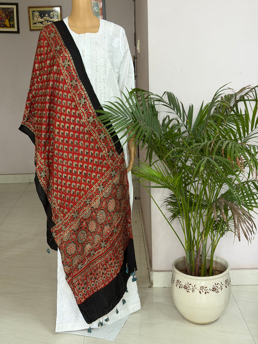 Ajrakh Hand Block Printed Modal Stole