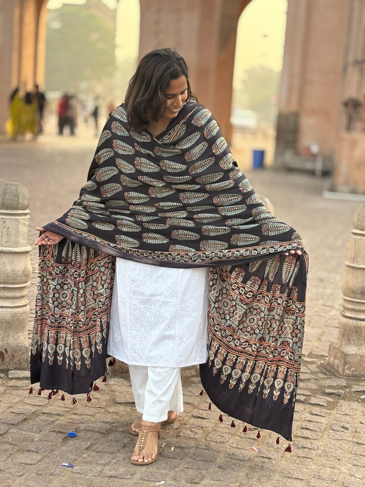 Black Colour Ashoka Motif Dupatta,ashoka motif, contemporary dupatta, front view.