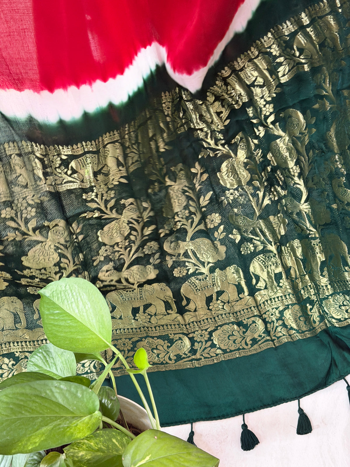 Modal Designer Bandhej Saree With Banarasi Border And Palla