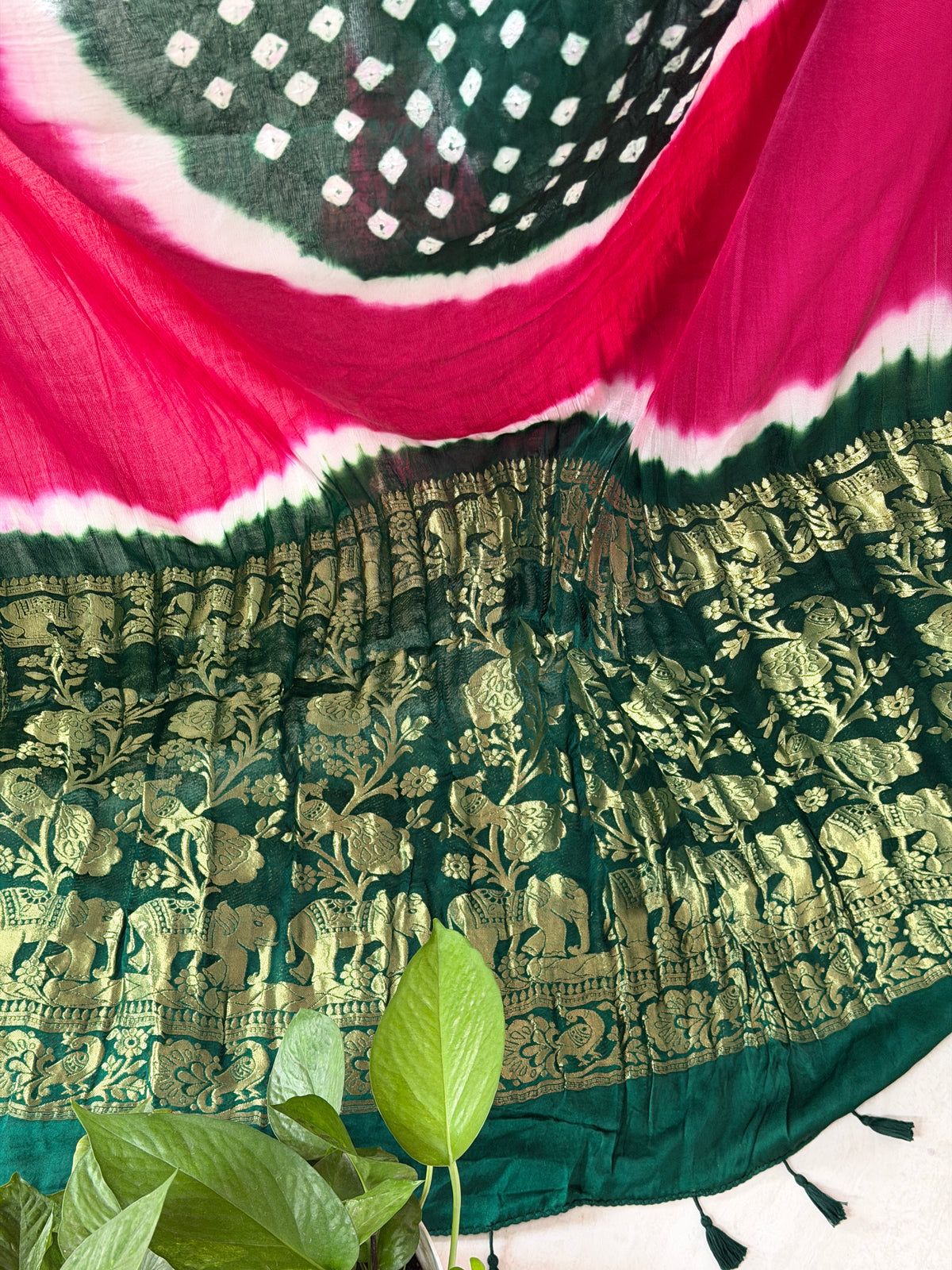 Modal Designer Bandhej Saree With Banarasi Border And Palla