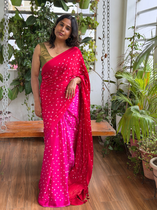 Modal Multi Shaded Bandhej Saree