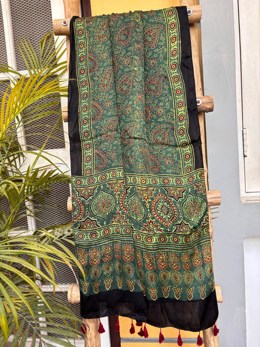 Ajrakh Stole- Natural Dyed Green Stole