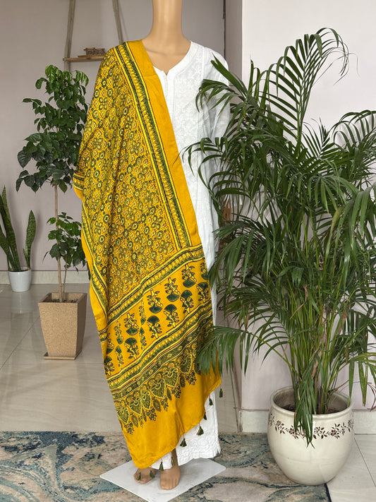 Yellow Mashup Natural Dyed  Ajrakh Modal Stole