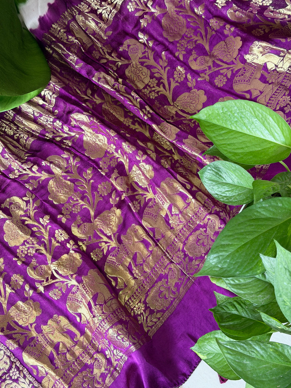 Modal Designer Bandhej Saree With Banarasi Border And Palla
