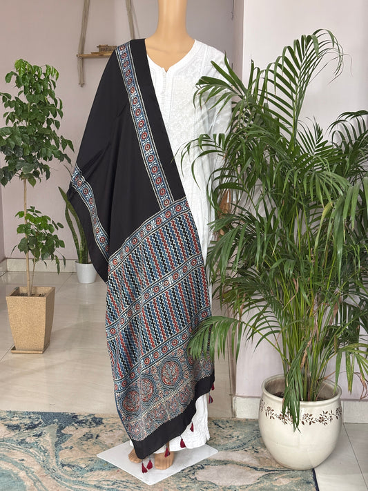 Black Natural Dyed Ajrakh Contemporary Stole