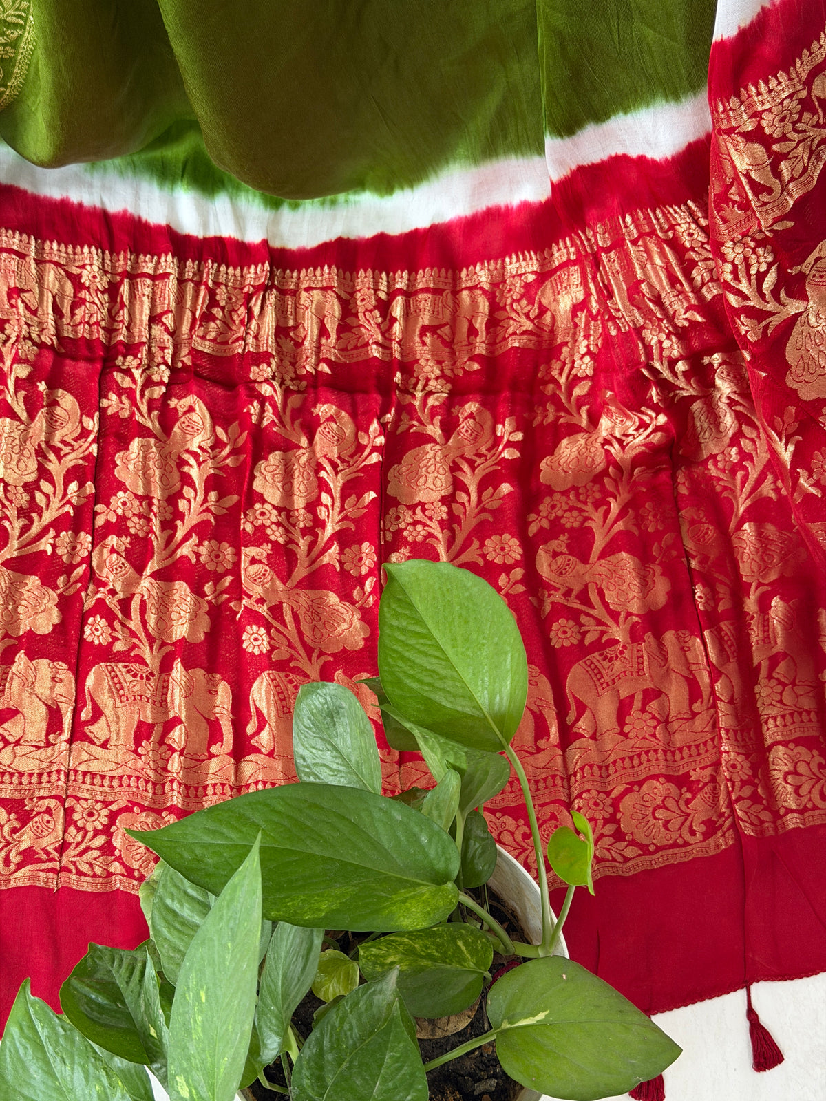 Modal Designer Bandhej Saree With Banarasi Border And Palla
