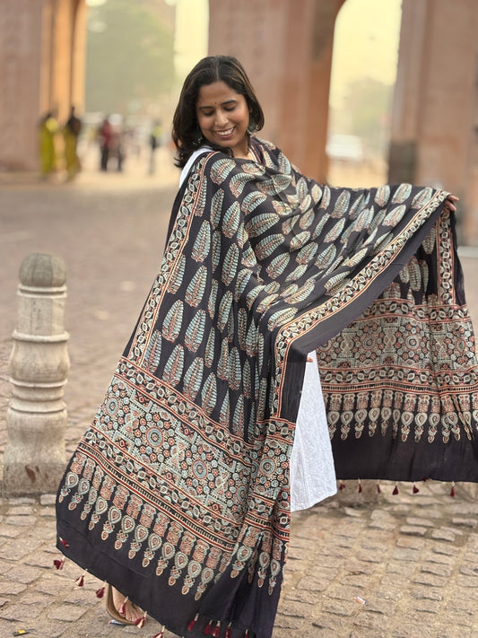 Black Colour Ashoka Motif Dupatta,ashoka motif, contemporary dupatta, front view.